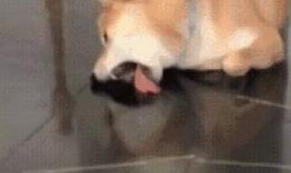 但亲爱的那不是爱情 但亲爱的那不是爱情