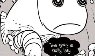 动物餐厅招租摊主大全 动物餐厅招租摊主大全